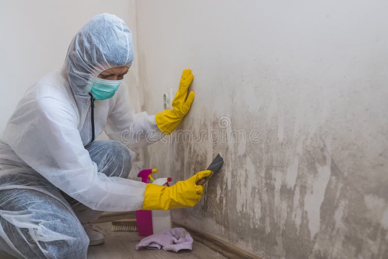 Mold Inspection Cost Near Me