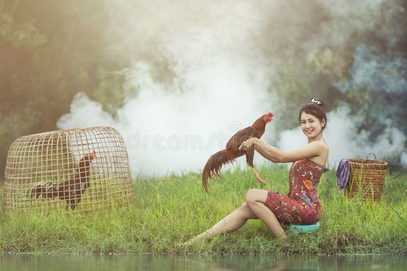 Femeie asiatică locală care luptă cu cocoși stock photo