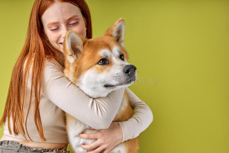 Femeie roșcată în costum ocazional îmbrățișând câinele de companie de rasă pură akita inu cu proprietar royalty free stock photography