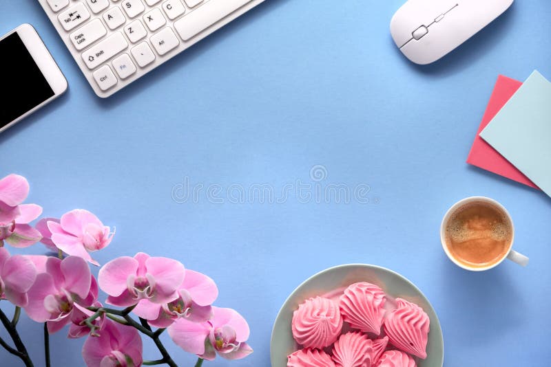 Pink phalenopsis orchid, greeting cards, keyboard, mobile phone, plate of marshmallow and cup of coffee. Flat lay on blue paper background with copy-space. Pink phalenopsis orchid, greeting cards, keyboard, mobile phone, plate of marshmallow and cup of coffee. Flat lay on blue paper background with copy-space