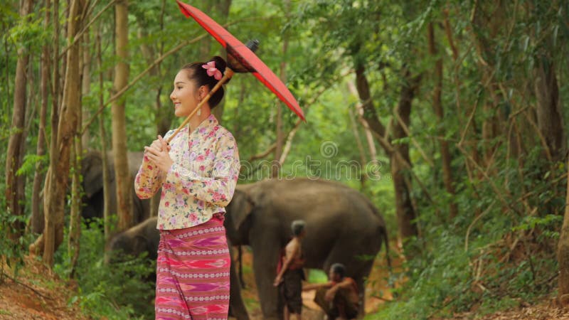 Femme asiatique attirante dans la danse asiatique du sud-est traditionnelle de costume à l'arrière-plan de nature clips vidéos