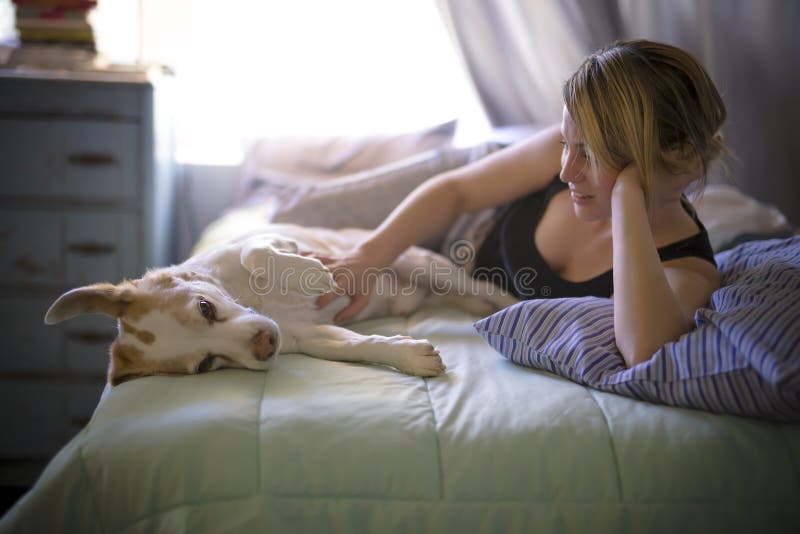 Femme avec son chien dans le lit à la maison photo stock Femme avec son chien dans le lit à la maison photo stock