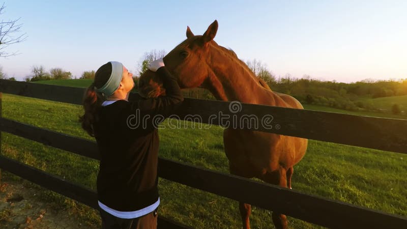 fille prend le cheval en dehors de le stalle pour une marcher