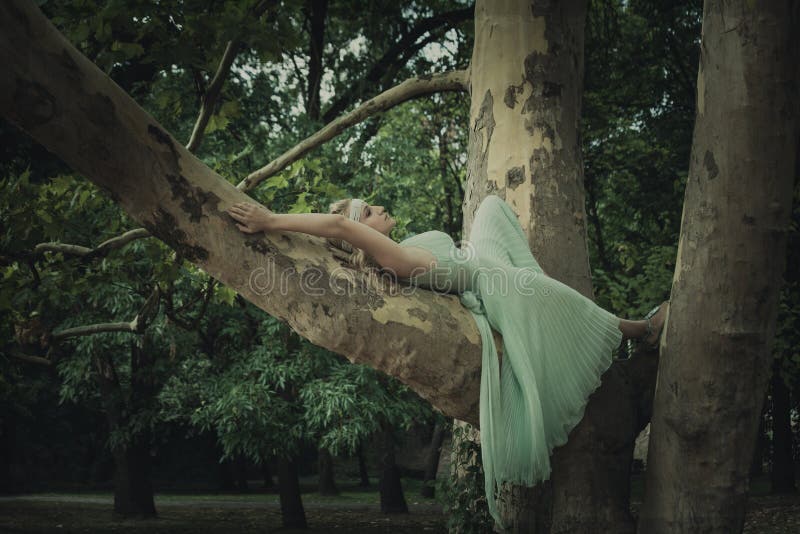 Femme blonde assez jeune dans le mensonge romantique de robe l'été d'arbre photographie stock libre de droits Femme blonde assez jeune dans le mensonge romantique de robe l'été d'arbre photographie stock libre de droits
