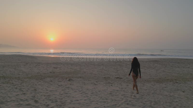 Femme bronzée marchant sur la plage à Sunrise Serene Ocean View banque de vidéos