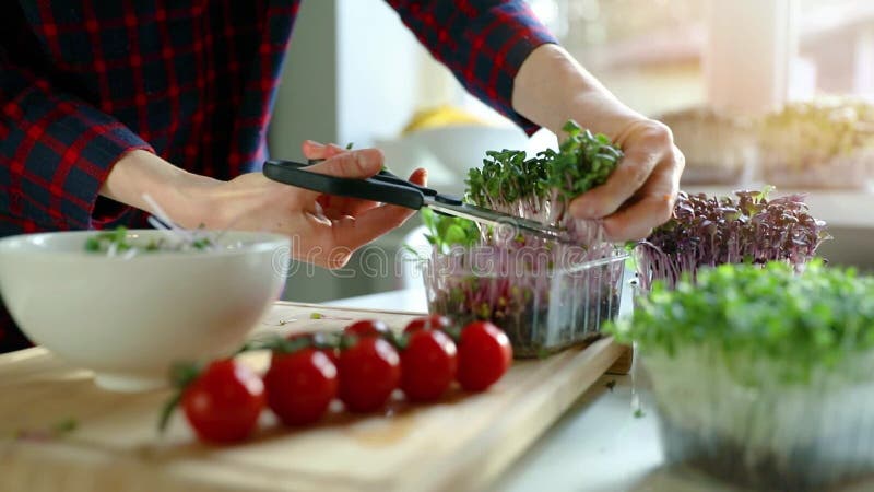 Femme brute d'aliments biologiques coupant les frais microgreens saladier