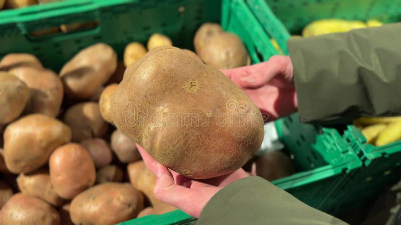 Femme choisit baltic rose pommes de terre acheter dans le supermarché acheter des aliments sains concept des épiceries. banque de vidéos