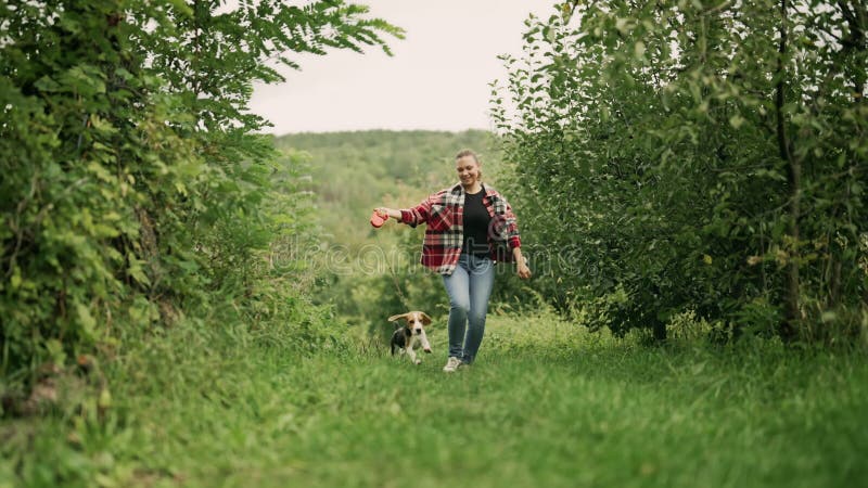 Femme courir avec beagle chiot dans le beau jardin vert. le propriétaire garde le chien sur les traîneaux à laisse équipe pour fer clips vidéos