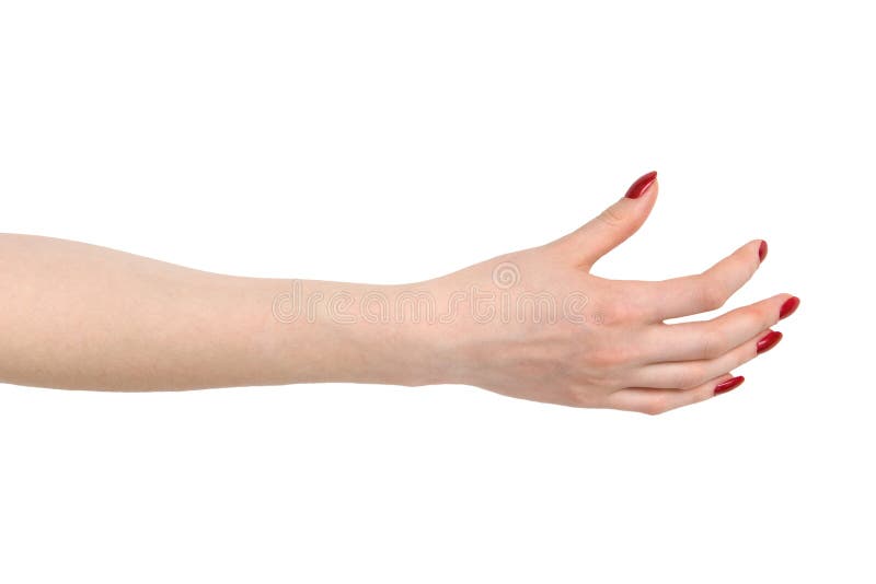 Femme d'isolement prenant la main image libre de droits Femme d'isolement prenant la main image libre de droits