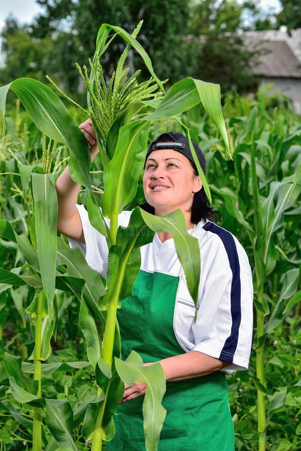 Femme dans un champ de maïs