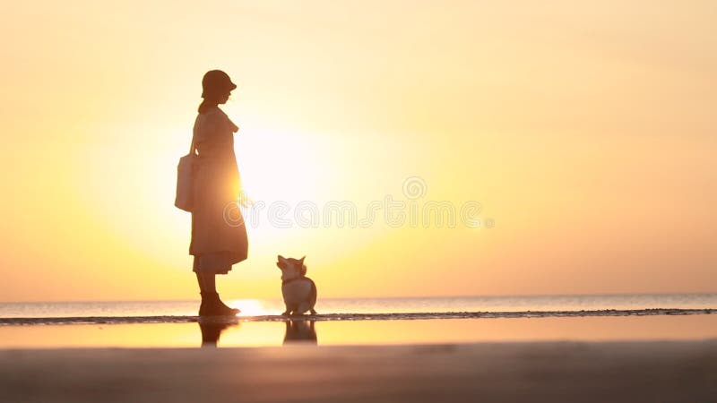Femme de formation du chien dans le capuchon sur le fond de coucher de soleil sur la plage. banque de vidéos