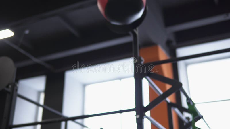 Femme de forme physique faisant la formation croisée de boule de mur dans le gymnase banque de vidéos Femme de forme physique faisant la formation croisée de boule de mur dans le gymnase banque de vidéos