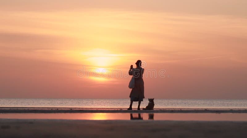 Femme de la photo de la nature et du chien assis sur la plage de mer pour égaliser le coucher du soleil. banque de vidéos