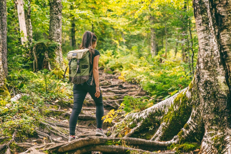 Femme de randonneurs du sentier de randonnée de forêt en marchant à l'arrière-plan de nature de chute d'automne à l'automne. Augme