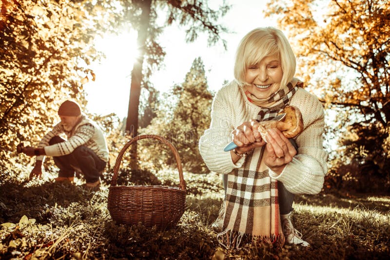Femme de sourire coupant un pied d'un champignon images stock Femme de sourire coupant un pied d'un champignon images stock
