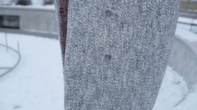 Femme de sourire le jour d'hiver banque de vidéos
