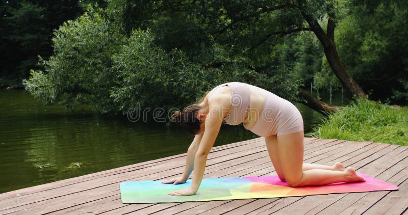 Femme enceinte en santé faisant du yoga dans la nature en plein air banque de vidéos