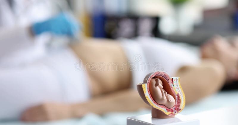 Femme enceinte fabrique des sonogrammes obstétriques avec équipement ultrasonique à l'hôpital banque de vidéos
