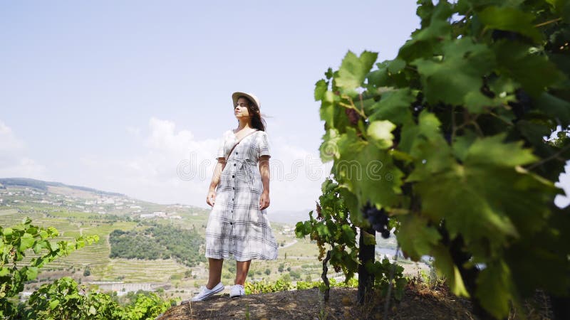 Femme entre les ceps de vigne sur la colline se dirigeant pour dégrossir