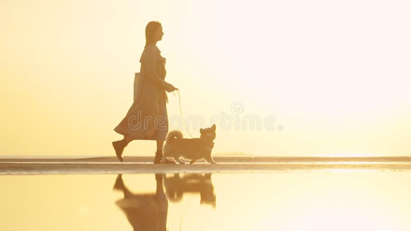 Femme et chien en marchant le long de la plage de mer pour égaliser le coucher de soleil à l'automne. banque de vidéos