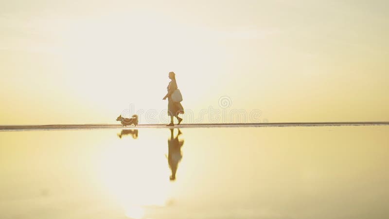 Femme et chien en marchant le long de la plage pour égaliser le coucher de soleil à l'automne. banque de vidéos