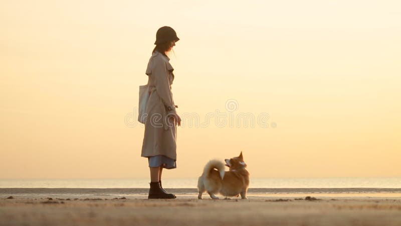 Femme et chien profitant du mode de vie au stand en bord de mer pour égaliser le coucher du soleil. clips vidéos