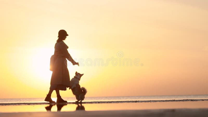 Femme et pet s'amusant sur la plage pour égaliser le coucher de soleil et de profiter du style de vie. clips vidéos