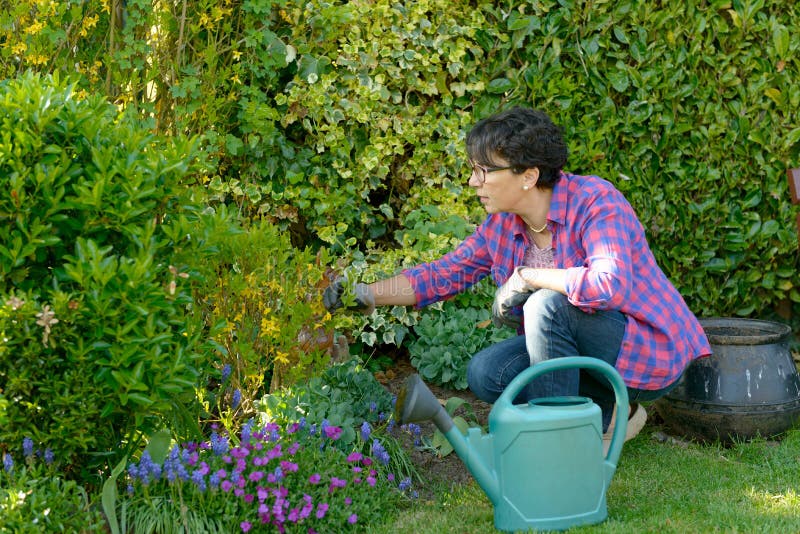Femme faisant du jardinage les fleurs dans son beau jardin photo stock Femme faisant du jardinage les fleurs dans son beau jardin photo stock