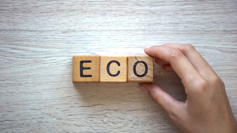 Femme faisant le mot d'eco des cubes, des biens et des services sans le mal à l'écosystème image stock Femme faisant le mot d'eco des cubes, des biens et des services sans le mal à l'écosystème image stock