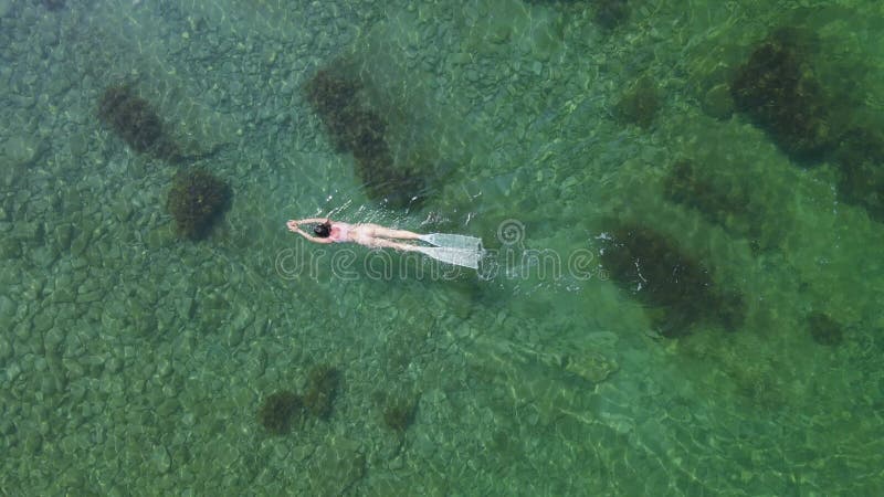 Femme franc-plongeur avec nageoires libres nageant en mer. vue aérienne clips vidéos