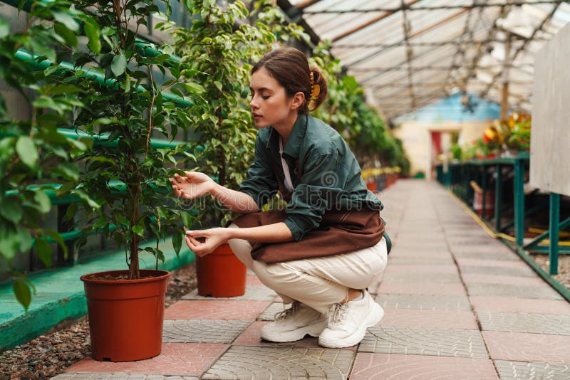 Femme jardinière qui s'occupe des plantes pendant qu'elle travaille en serre images stock