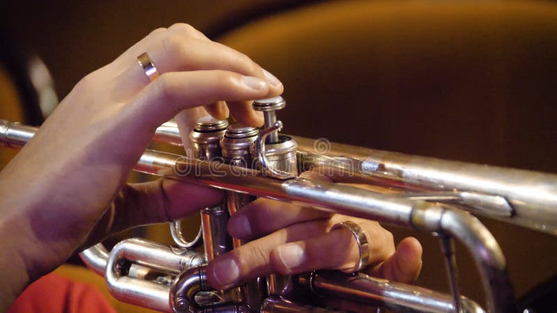 Femme jouant la trompette Joueur de trompette Trompettiste jouant l'instrument de jazz de musique Instrument en laiton d'orchestr photos stock Femme jouant la trompette Joueur de trompette Trompettiste jouant l'instrument de jazz de musique Instrument en laiton d'orchestr photos stock
