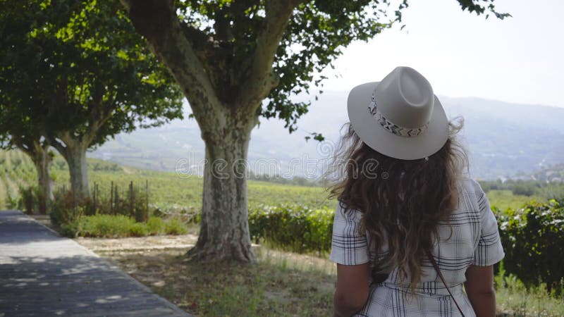 Femme marchant sur l'allée près des ceps de vigne entre les collines