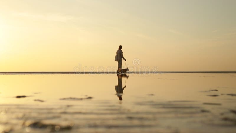 Femme marchant sur la plage avec le chien de corgi et posant pour la séance photos pour égaliser le coucher du soleil. banque de vidéos
