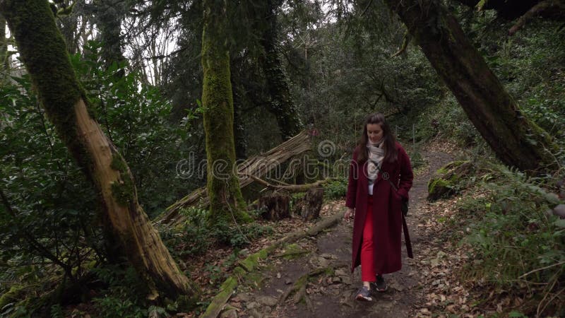 Femme marchant sur une traînée par le verger d'if-buis, forêt verte dans Khosta banque de vidéos