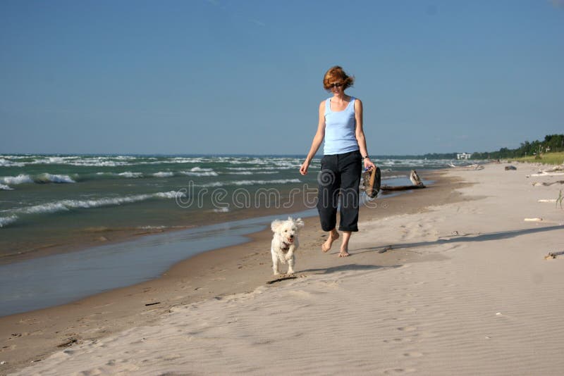 Femme promenant un petit chien blanc sur la plage images libres de droits