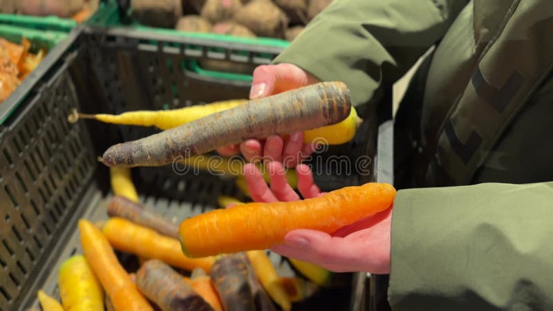 Femme montrant une pile de carottes colorées dans ses mains en achetant des légumes au supermarché. banque de vidéos