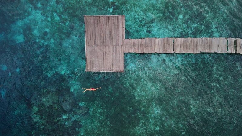Femme nageant dans l'océan tropical près d'une jetée en bois sur ses vacances. vue aérienne banque de vidéos