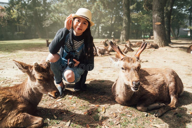 Femme se mettant à genoux vers le bas autour des cerfs communs de repos photographie stock