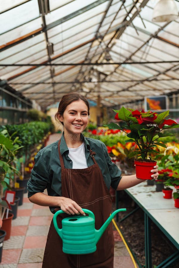 Femme souriante arrosage des plantes pendant qu'elle travaille en serre images libres de droits
