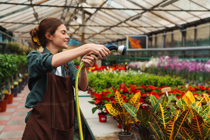 Femme souriante arrosage des plantes pendant qu'elle travaille en serre photographie stock libre de droits