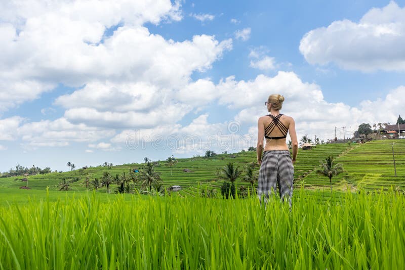 Femme sportive occasionnelle d?contract?e appr?ciant la nature pure ? de beaux gisements verts de riz sur Bali photographie stock Femme sportive occasionnelle d?contract?e appr?ciant la nature pure ? de beaux gisements verts de riz sur Bali photographie stock