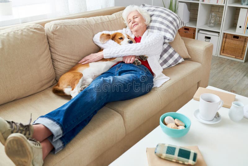 Femme supérieure appréciant le petit somme avec le chien photos libres de droits Femme supérieure appréciant le petit somme avec le chien photos libres de droits