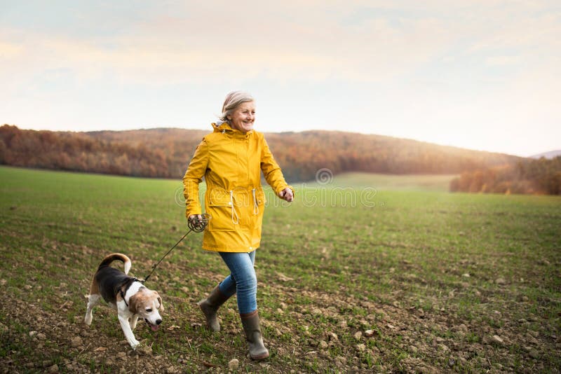 Femme supérieure avec le chien sur une promenade dans une nature d'automne