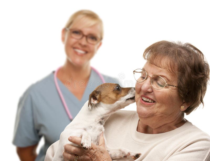 Femme supérieure heureuse avec le chien et le vétérinaire photographie stock Femme supérieure heureuse avec le chien et le vétérinaire photographie stock
