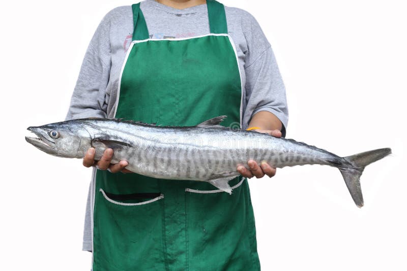 Femmes tenant un poisson de wahoo ou des poissons de maquereau de roi photos libres de droits Femmes tenant un poisson de wahoo ou des poissons de maquereau de roi photos libres de droits