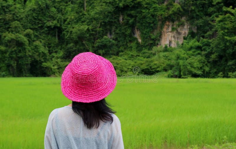 Femmina che indossa Straw Hat Looking rosa vivo al giacimento verde vibrante del riso, stagione delle pioggie fotografia stock libera da diritti Femmina che indossa Straw Hat Looking rosa vivo al giacimento verde vibrante del riso, stagione delle pioggie fotografia stock libera da diritti