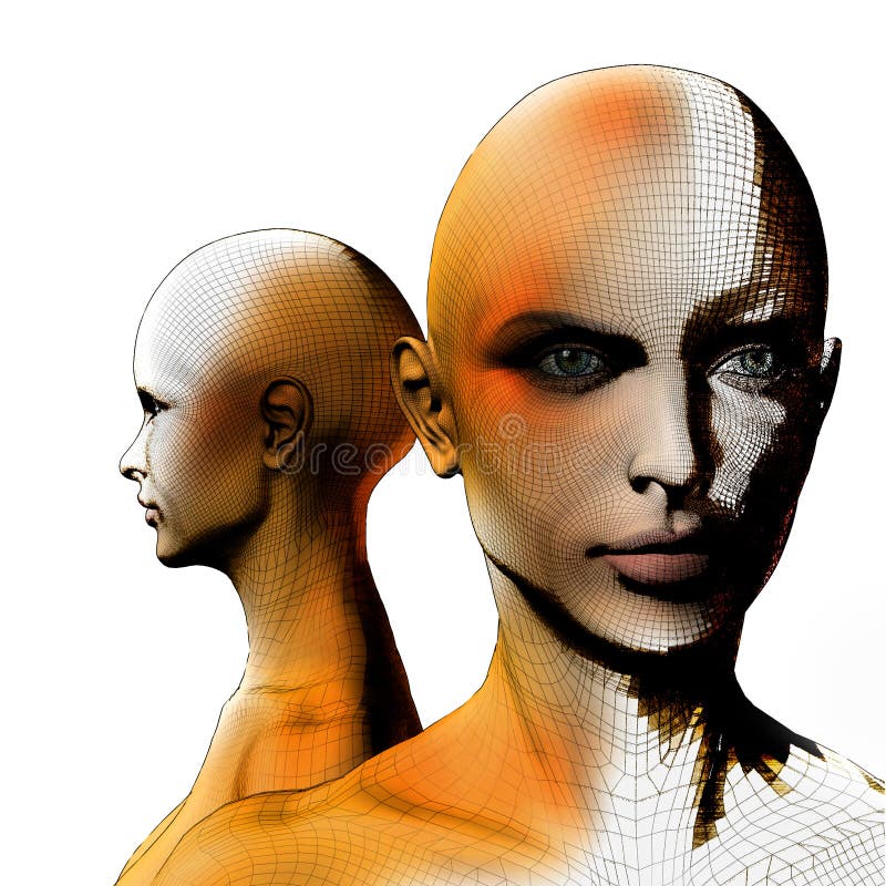 Femmina umana del wireframe 3D royalty illustrazione gratis