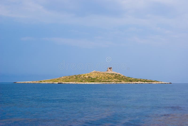 Femmine Del Delle Di Isola, Palermo Immagine Stock Immagine di oasi