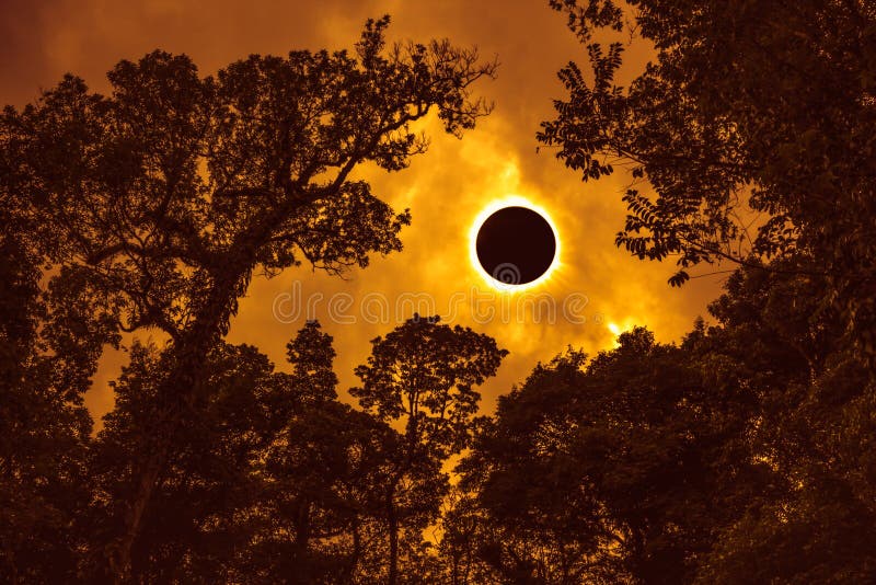 Amazing scientific natural phenomenon. Prominence and internal corona. Total solar eclipse glowing on orange sky above silhouette of trees, serenity nature. Abstract fantastic background. Amazing scientific natural phenomenon. Prominence and internal corona. Total solar eclipse glowing on orange sky above silhouette of trees, serenity nature. Abstract fantastic background.